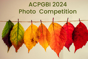 photographycompetition2024